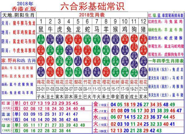 2024澳门正版资料大全资料生肖卡,实践解答解释定义_8K90.881