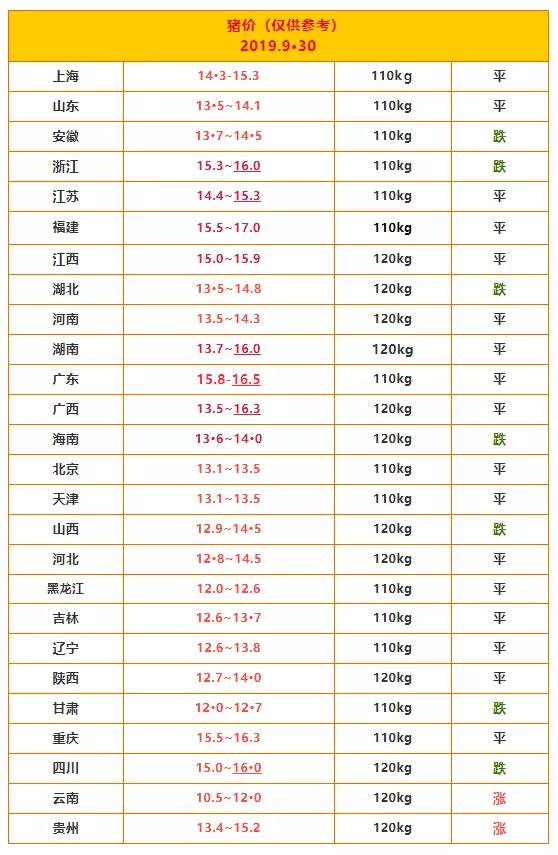 最新猪价行情分析与展望，价格走势及未来趋势解析